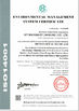 China Ivy Machinery (Nanjing) Co., Ltd. certificaciones