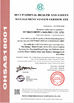 China Ivy Machinery (Nanjing) Co., Ltd. certificaciones
